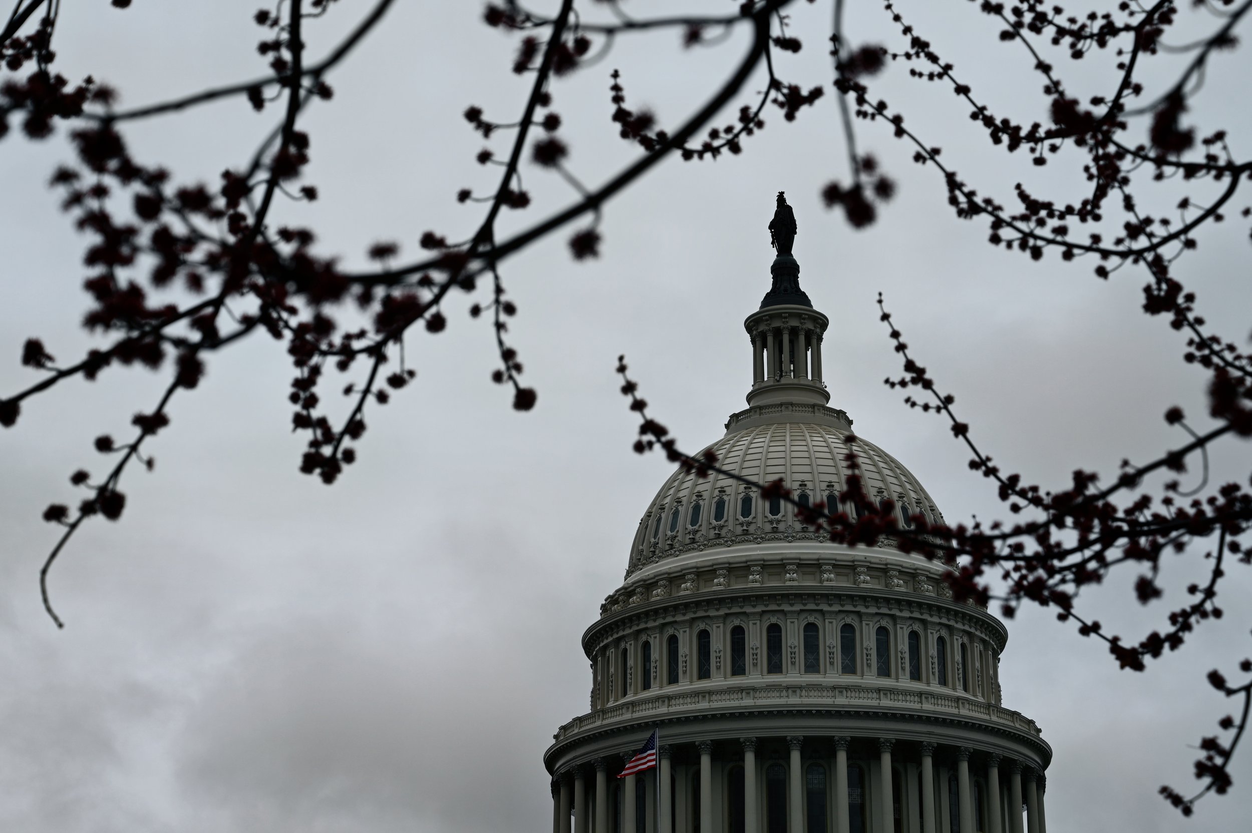  The Capitol. 