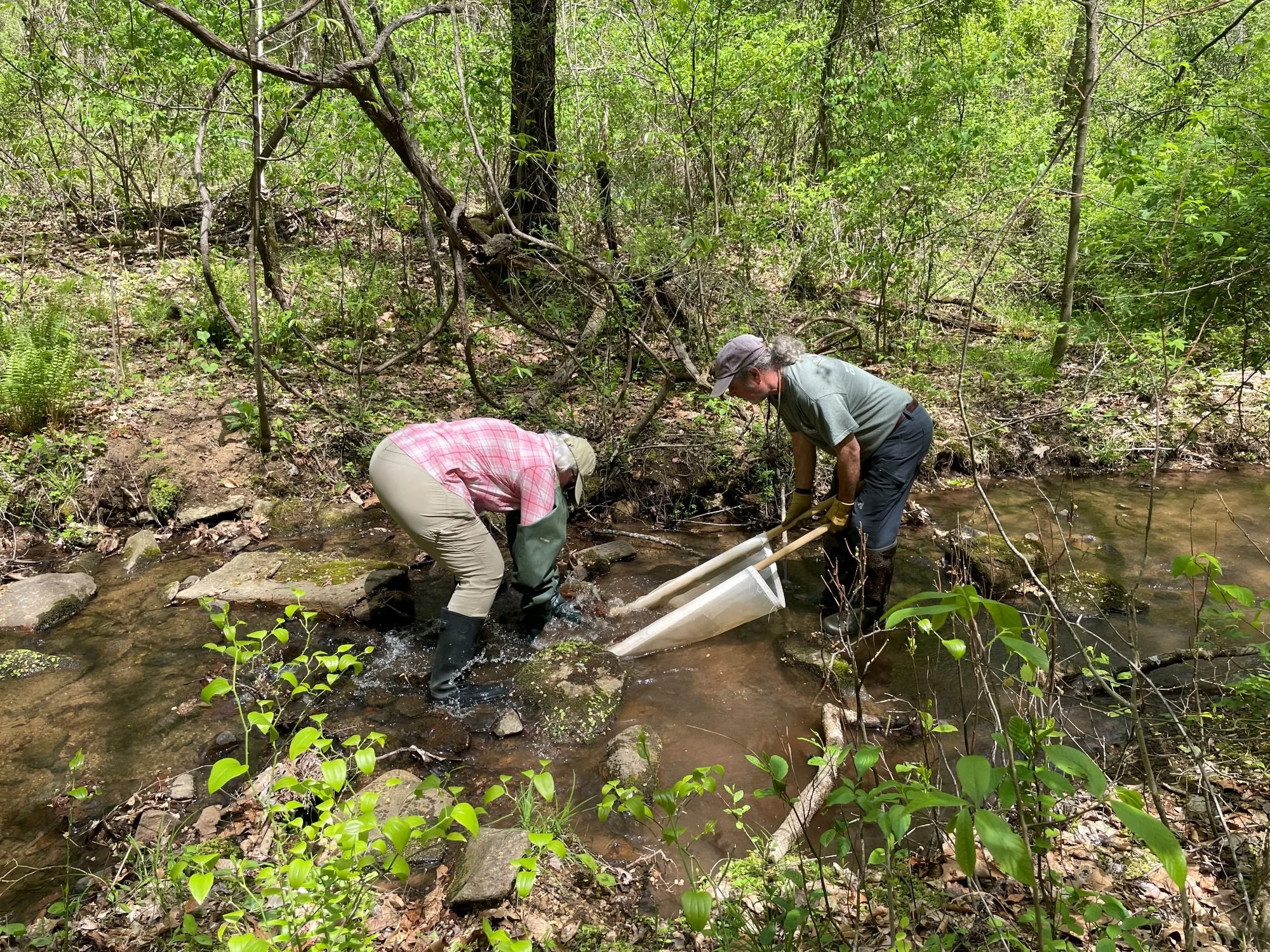   RCA Biological Volunteer Monitors  