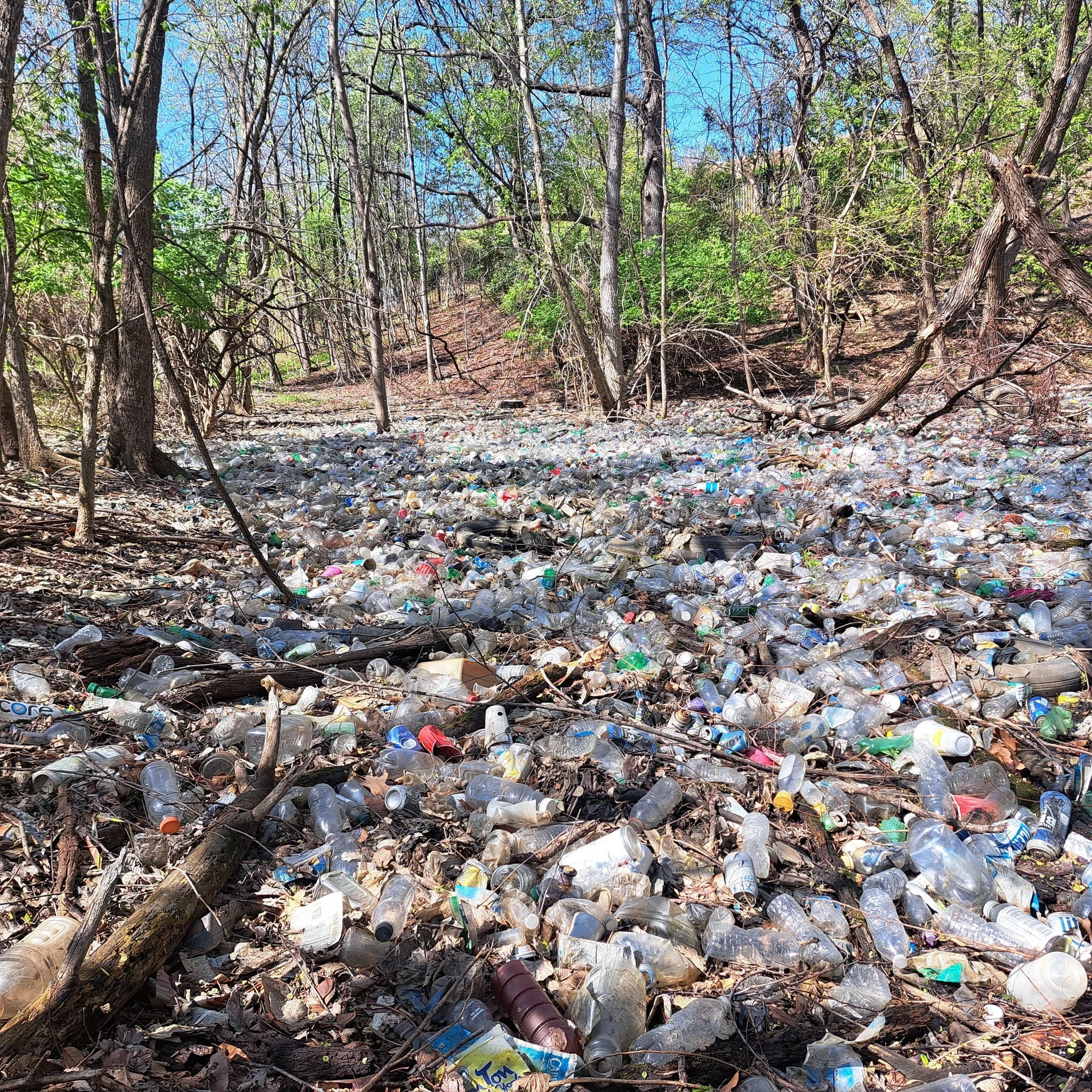 Sea of bottle bill pollution near Ward 8 Congress Heights Metro Station Credit: Ward 8 Woods
