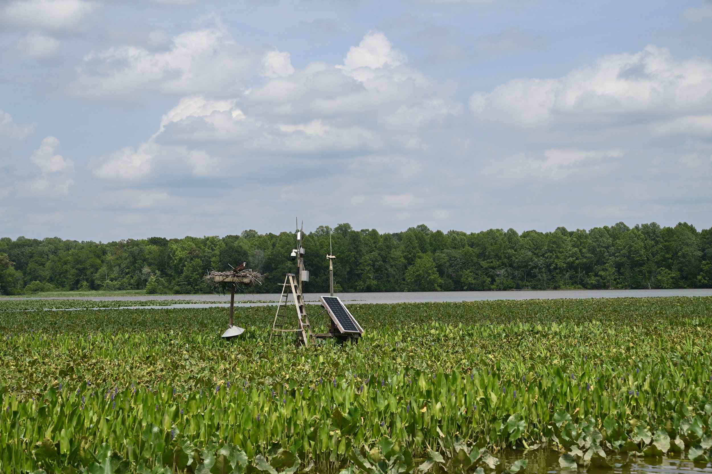 CCW_7178.JPG