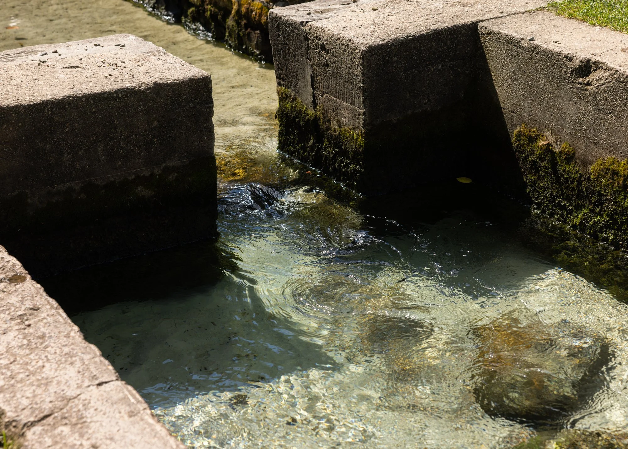 20260908_SCretreat-2.jpg