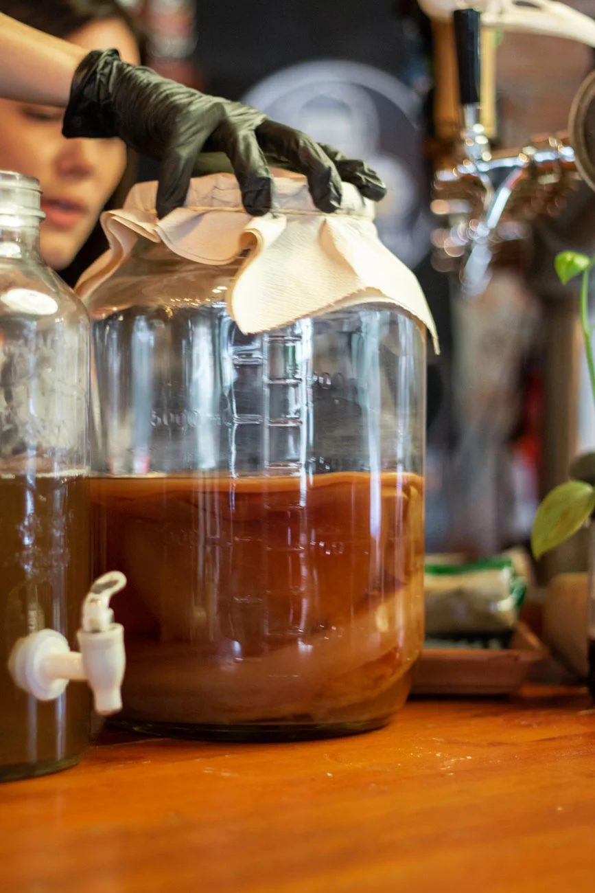 Scoby: el encargado de fermentar la kombucha de manera 100% natural al combinarse con Zukra orgánico.
