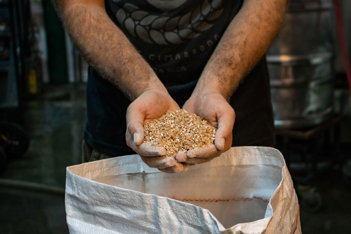 La elección de los mejores ingredientes es siempre el primer paso.