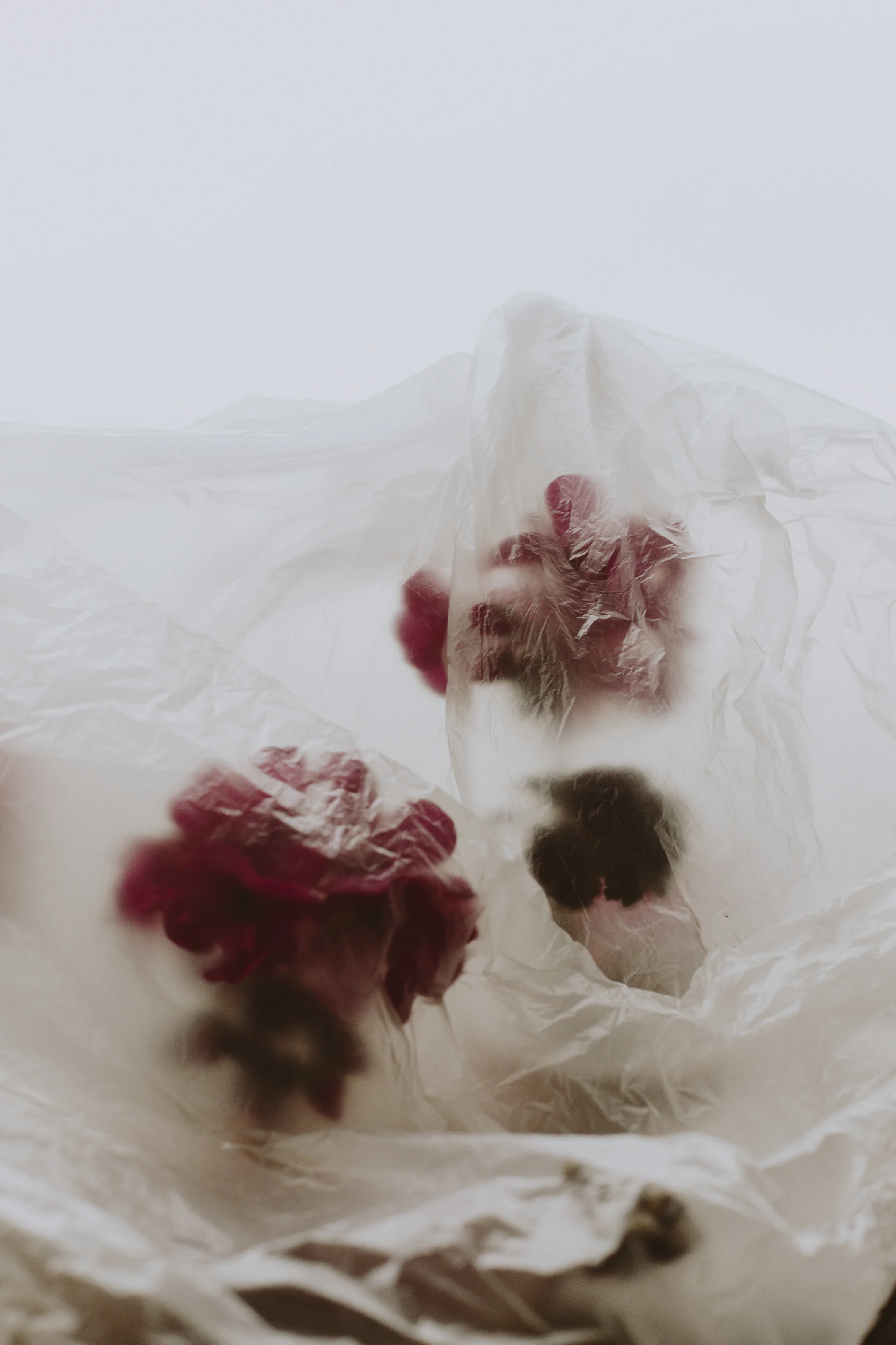 thelaststraw-8.jpg
