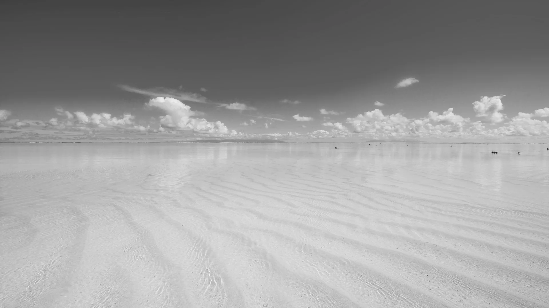 ops-header-bespoke-beach-bw.jpg