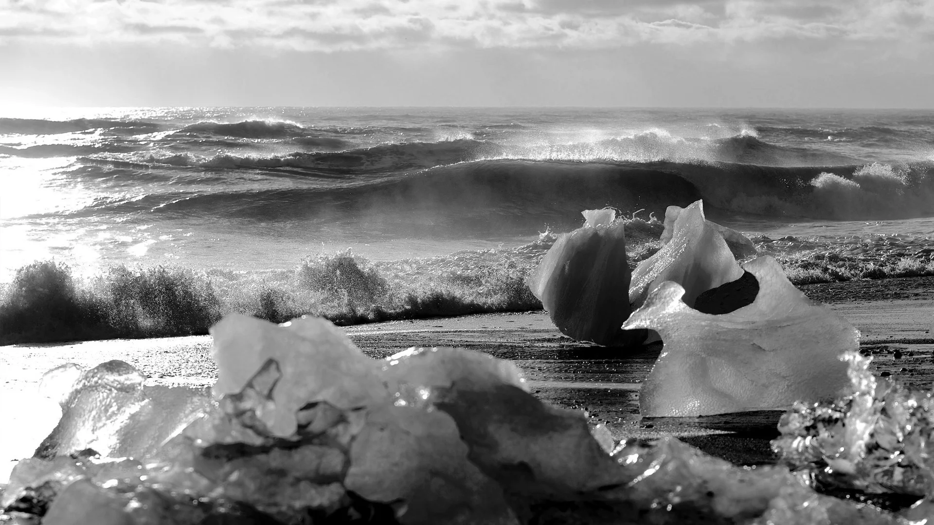 ops-header-hardcore-bw.jpg