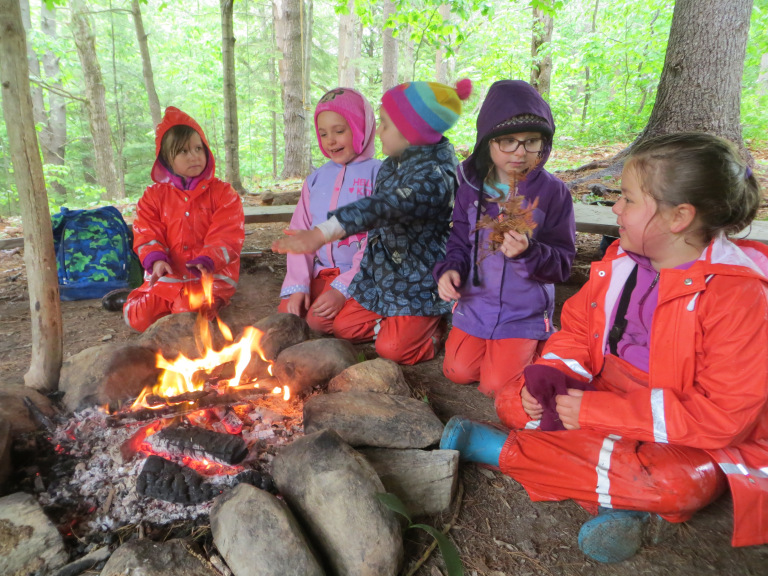 Forest Days 1.jpg