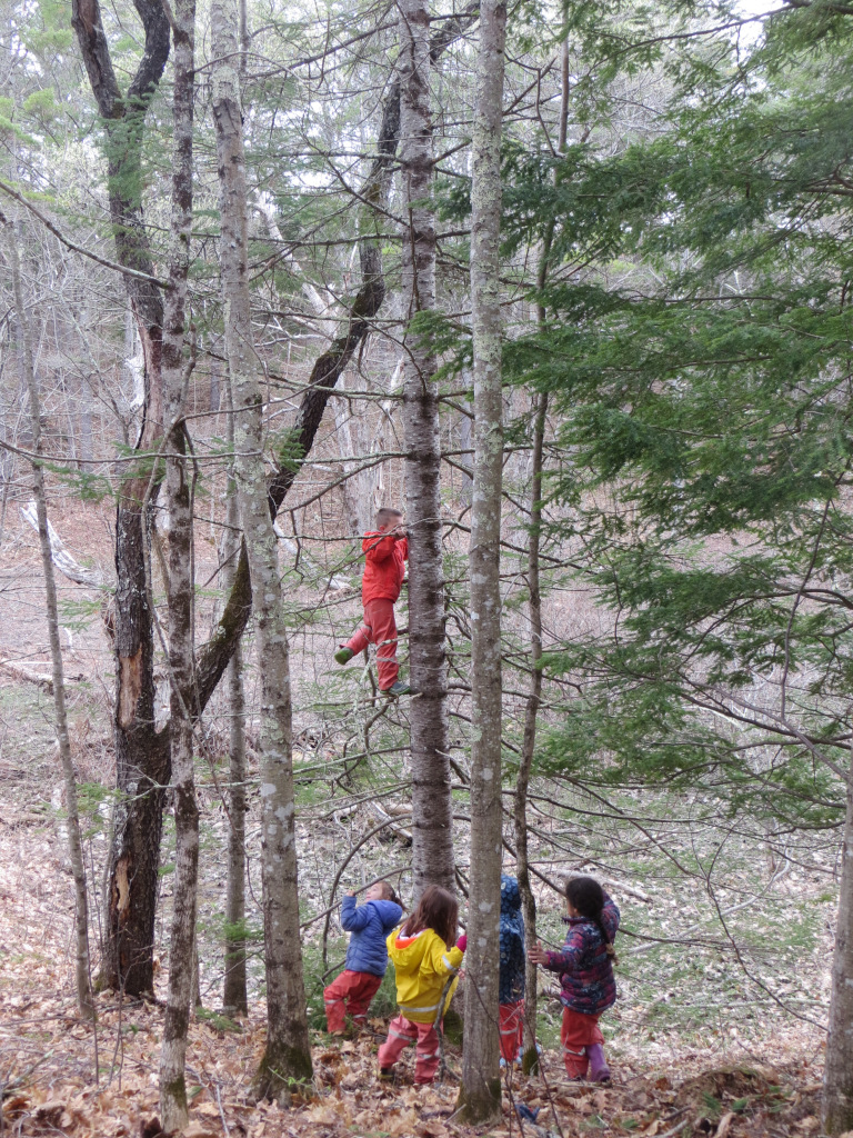 Forest Days 5.jpg
