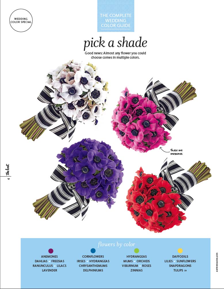 ColorGuide5.jpg
