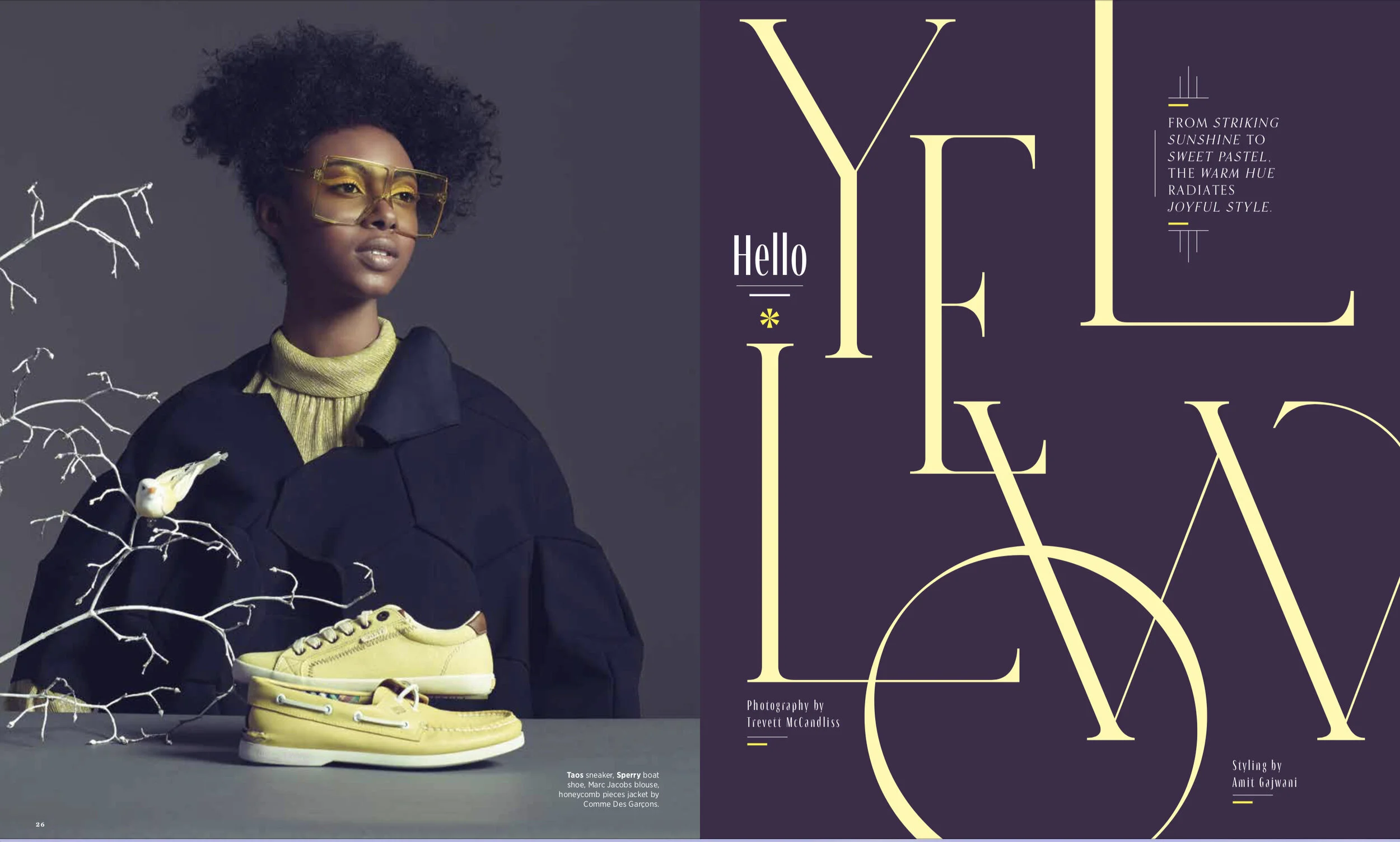 FW.Yellow1.jpg
