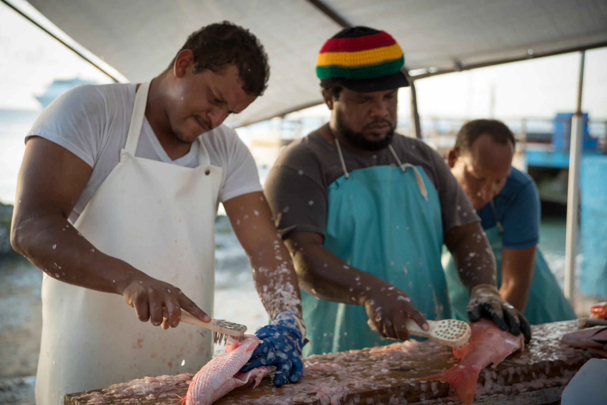 George Town | Fish Market