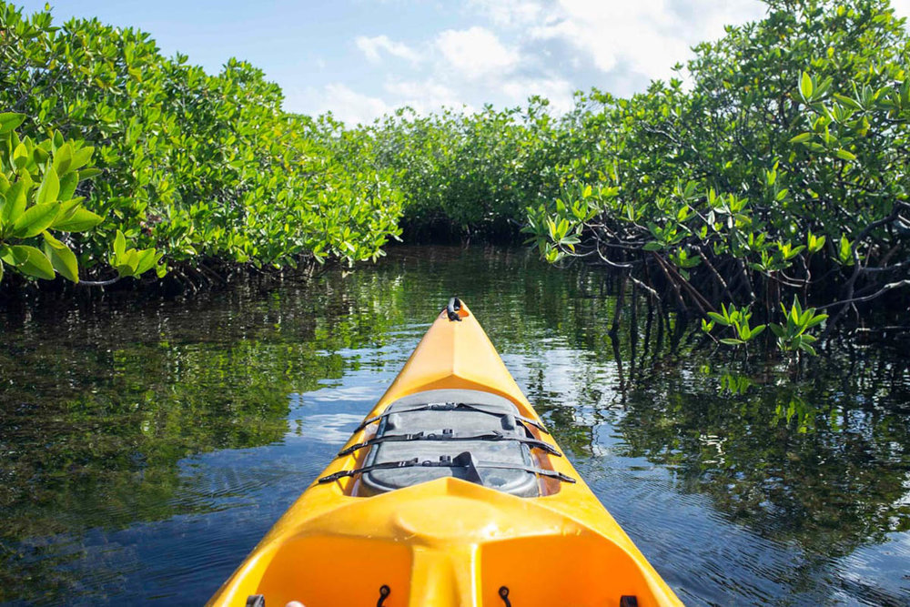 CAYMAN_KAYAKS-3.jpg