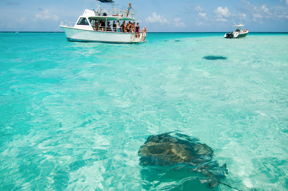 Stingray City Cayman Islands - Information, Tips, & Tours — The Beach