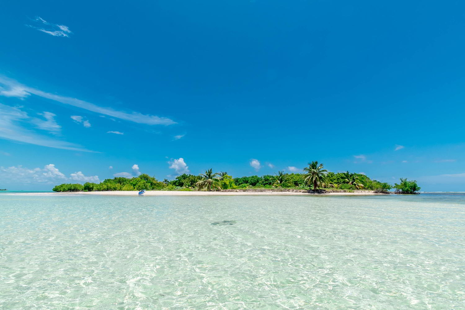 LITTLE_CAYMAN.jpg