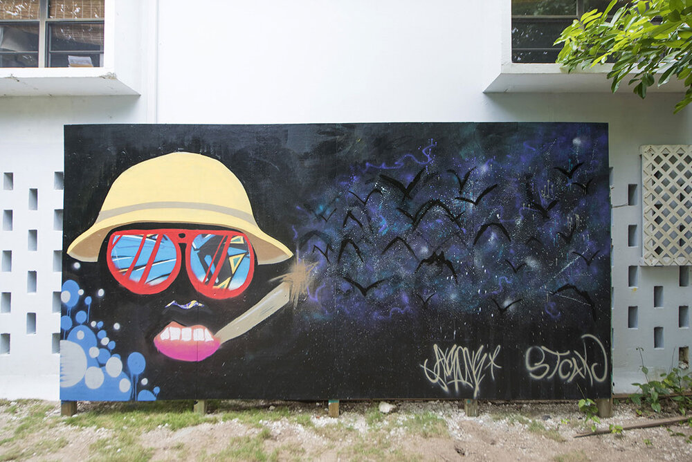 Morgan Olley_Art_Wall_Cayman.jpg