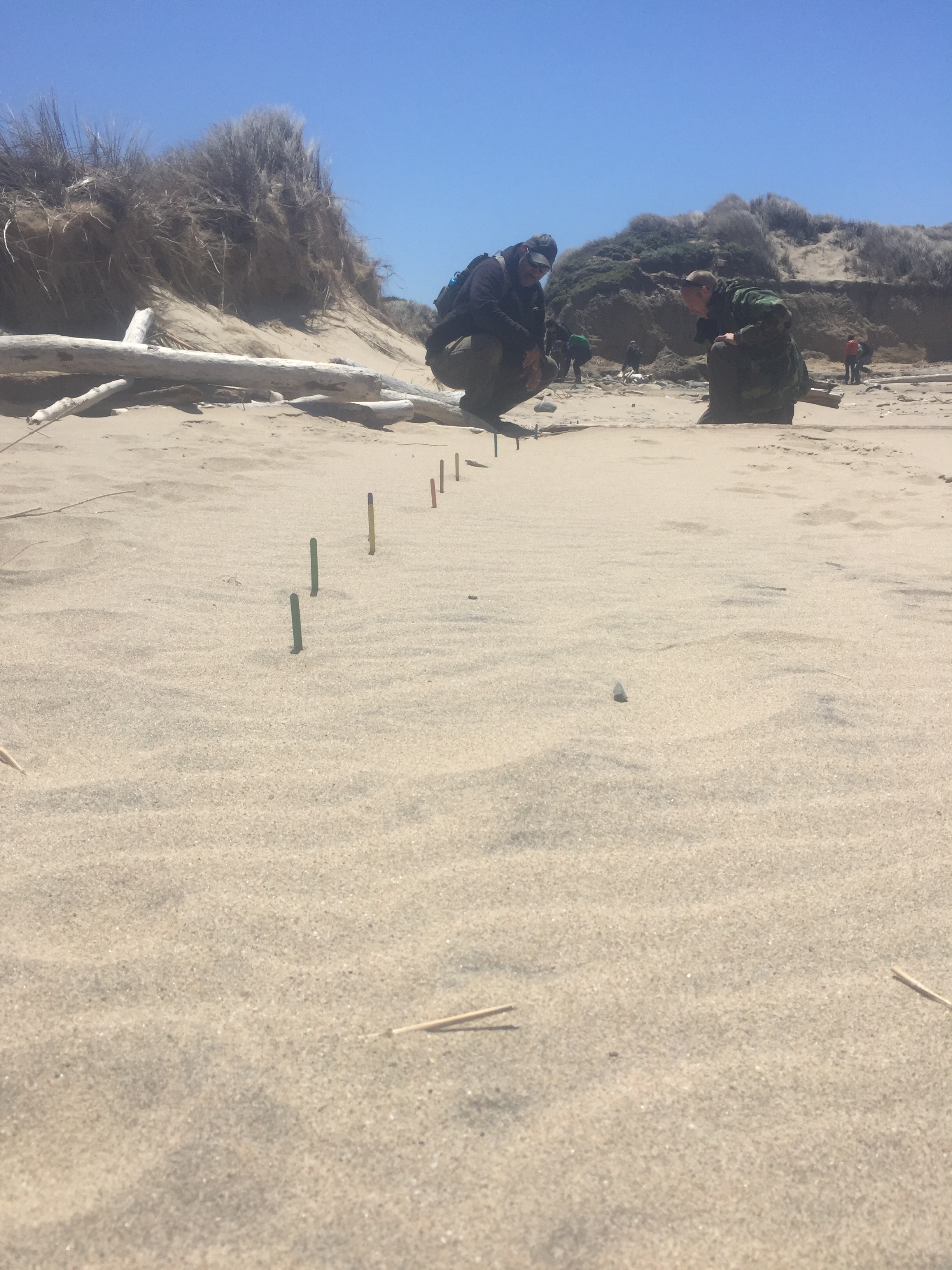Compression Tracking a Coyote