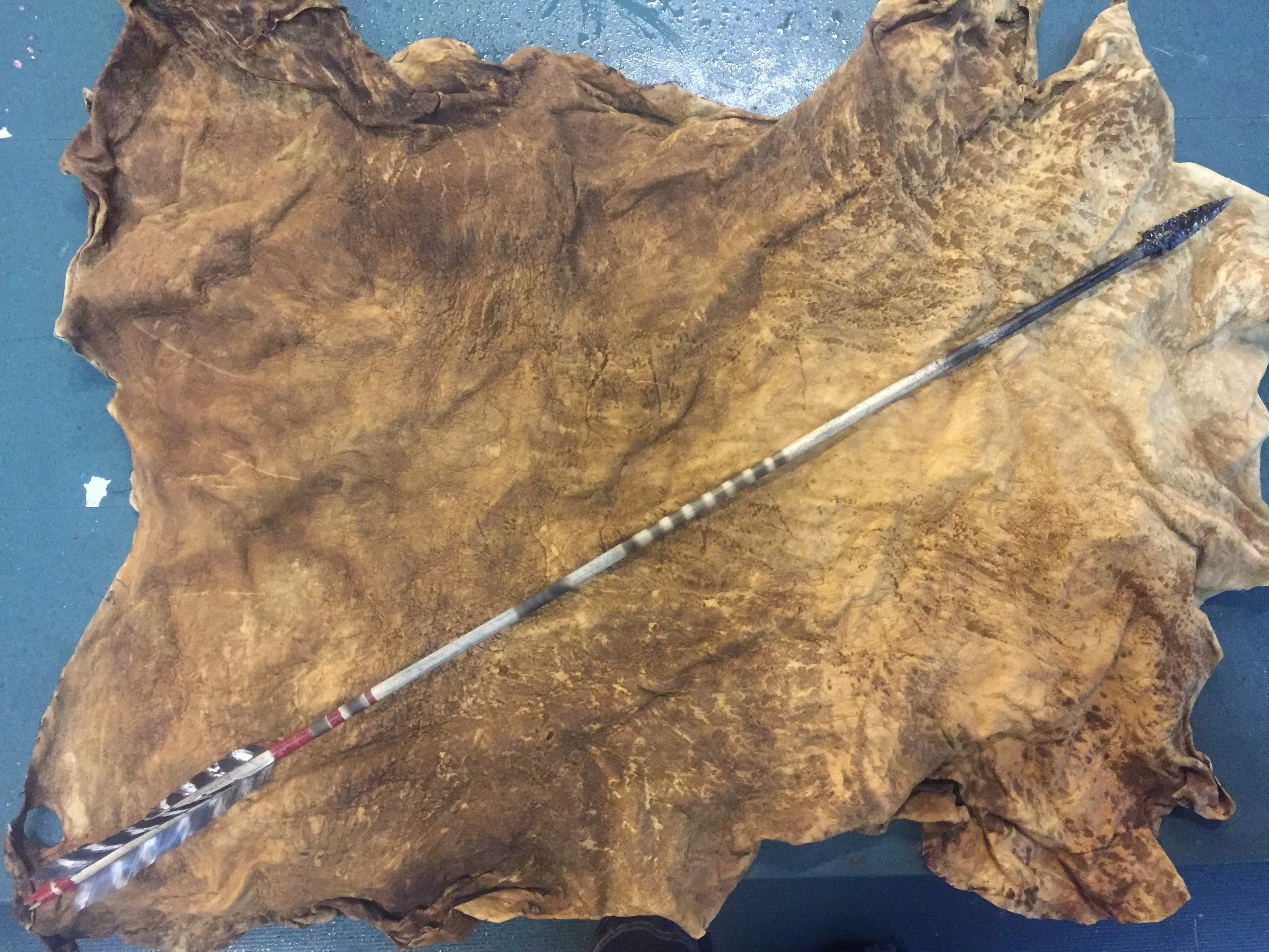  an arrow i made for a friends medical benefit show 