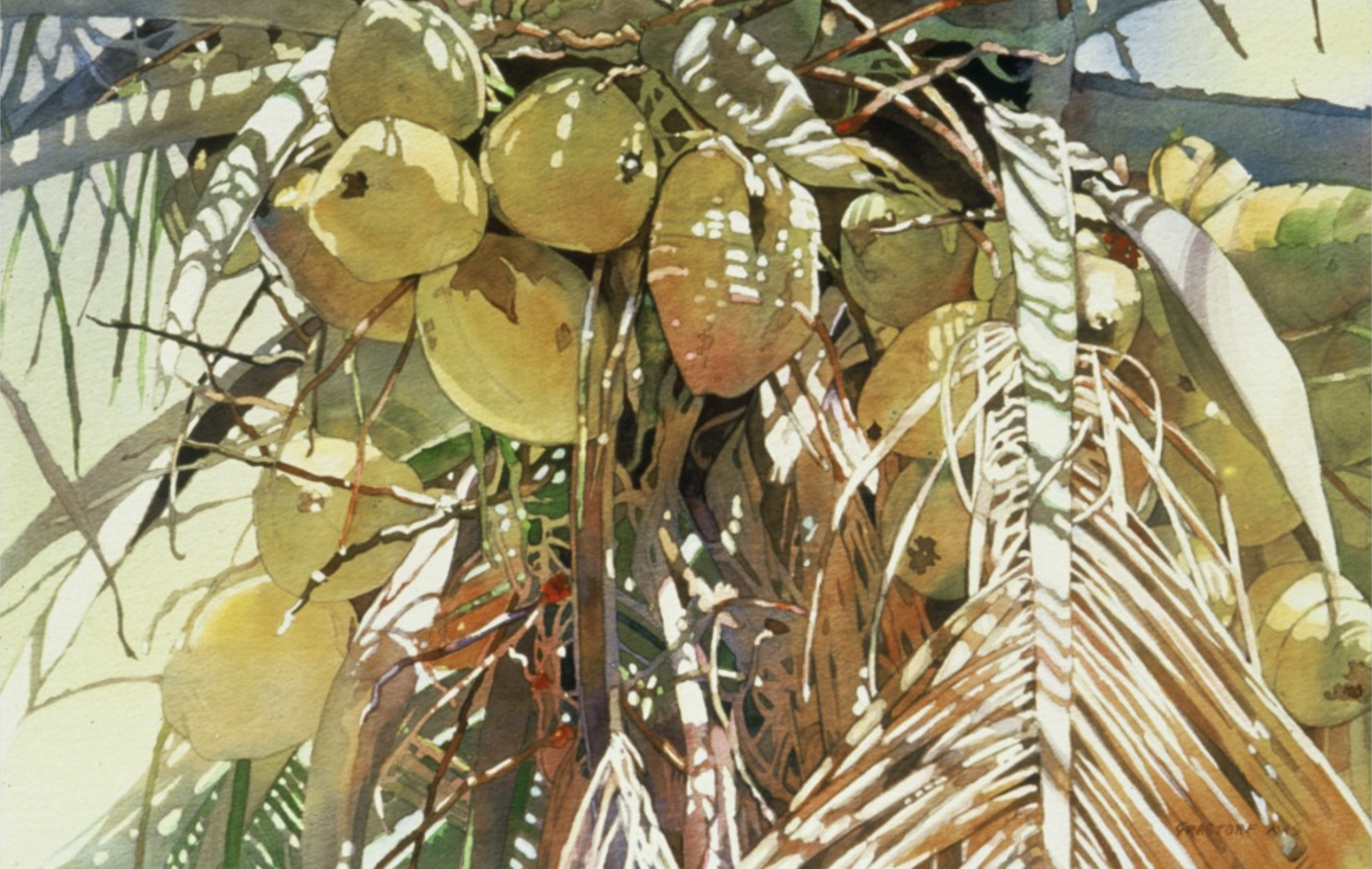 Jean Grastorf's uses masking fluid (frisket) to protect the whites of her paper, creating beautiful sunlit images. Photo Source: www.jeangrastorf.com