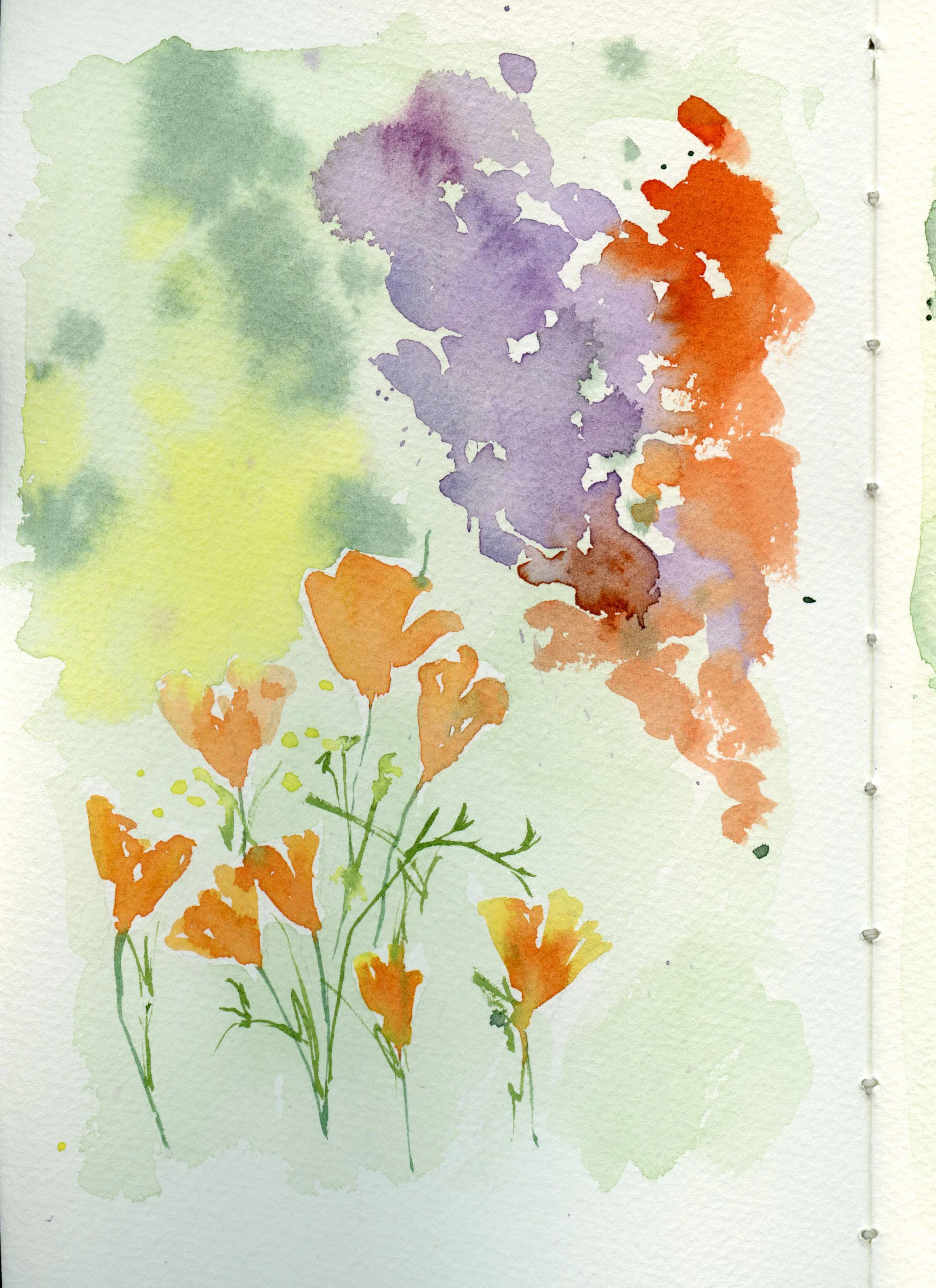 Poppies001.jpg