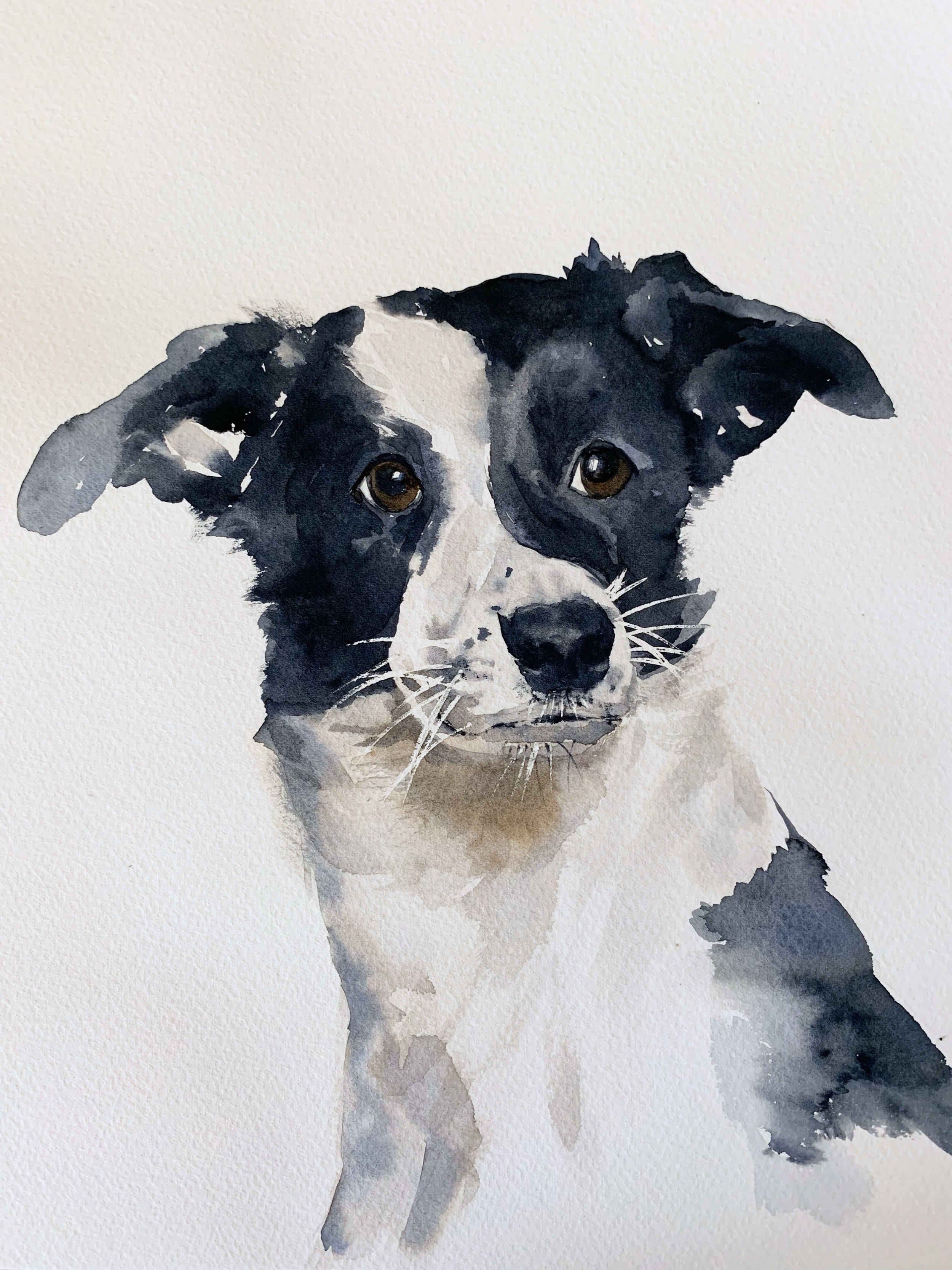 Watercolor Practice: Learning to Paint Maisa the Dog | Susan Chiang