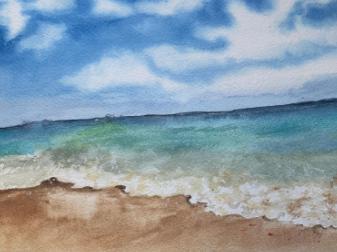 Sandy M.