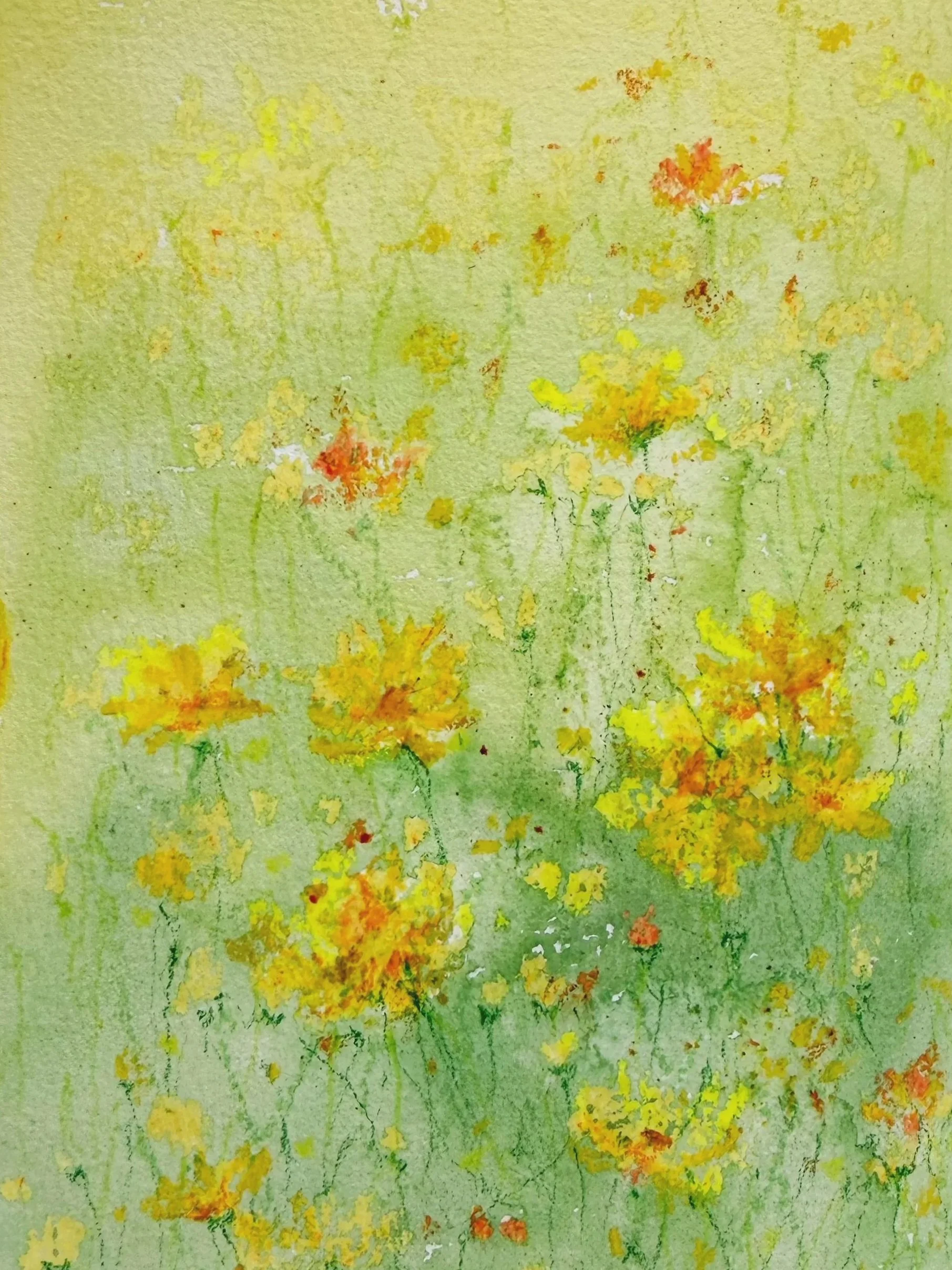 Yellow Flowers