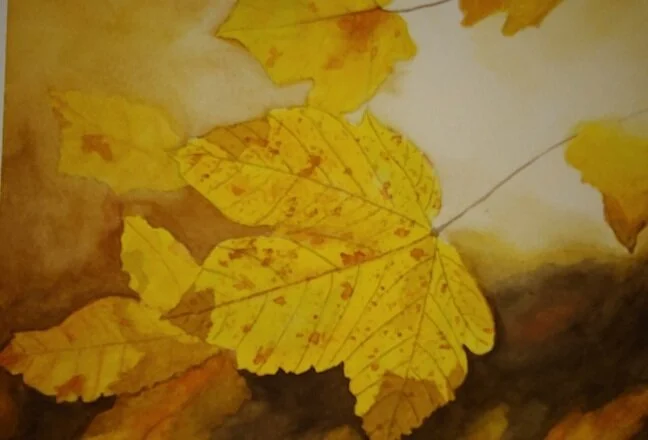 Sue M.