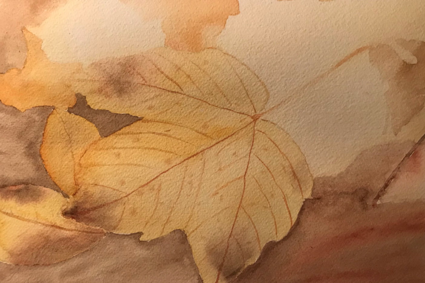 Vanesa S. @vanesawatercolors ☆