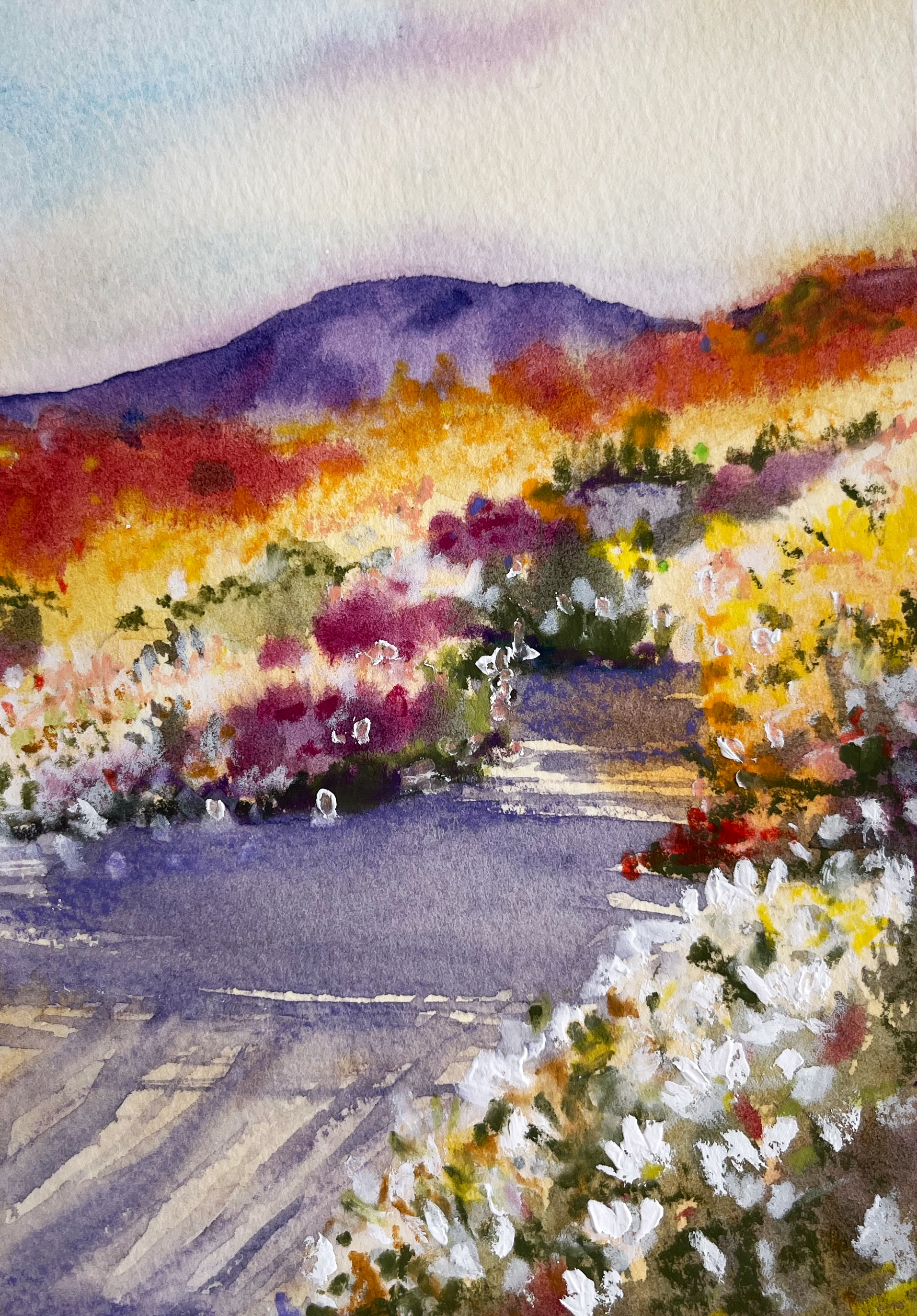 A colorful watercolor painting of a landscape featuring a mountain in the background, a winding road or pathway in the foreground, and vibrant flowering bushes with white, yellow, purple, red, and pink flowers along the sides of the path.