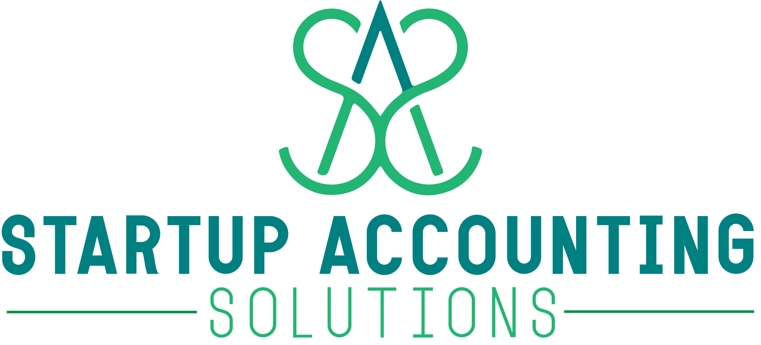 Startup Accounting Solutions