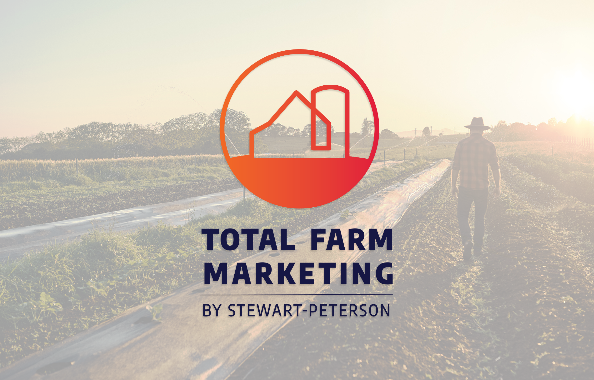 tfm banner copy.png