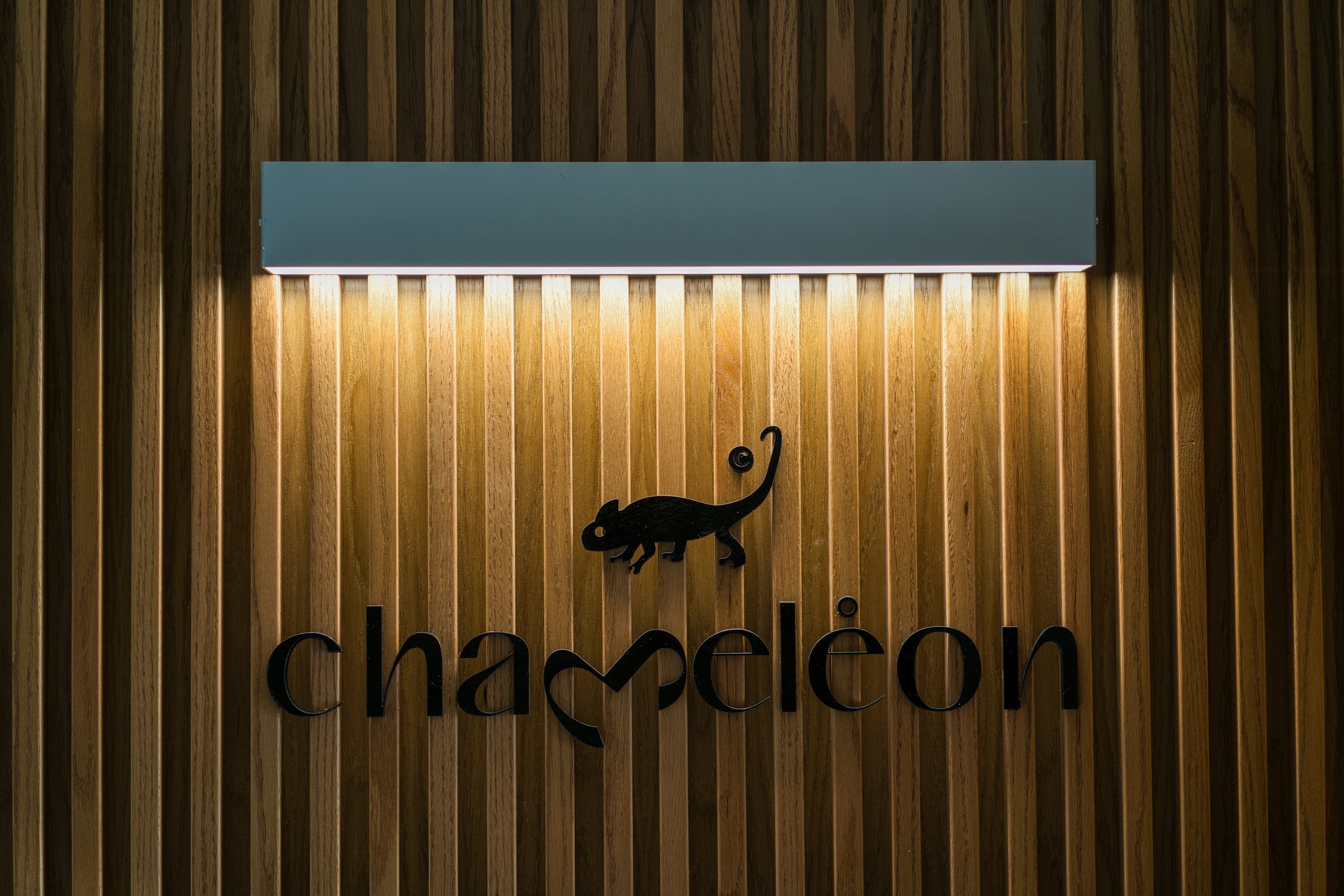 Hameleon 63.jpg