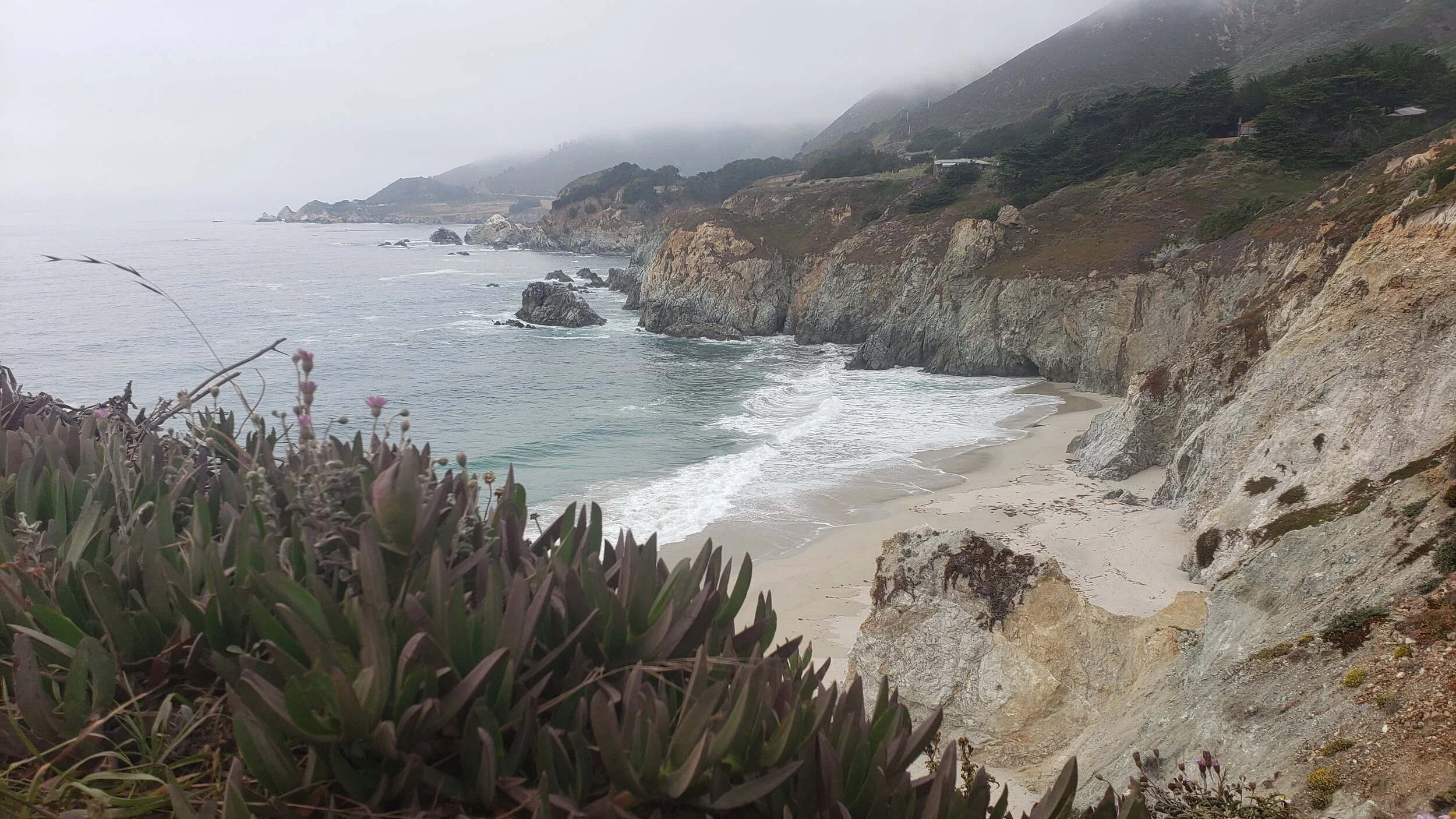20190824_174445.jpg