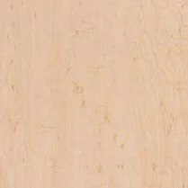 Limber Maple