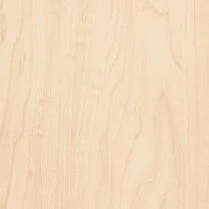 Manitoba Maple