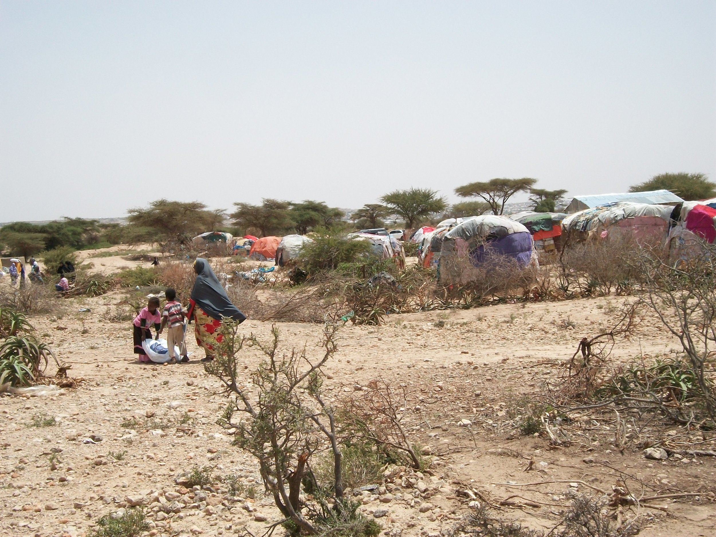 Hargeisa IDP Camp