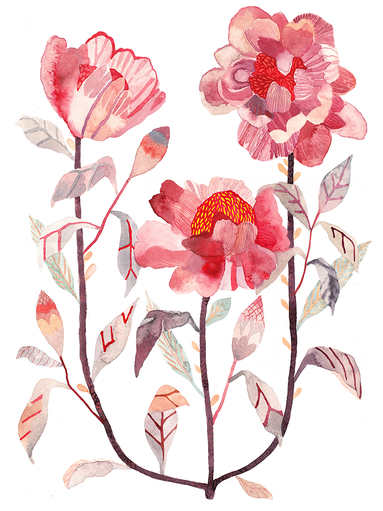 "Tree Peony"