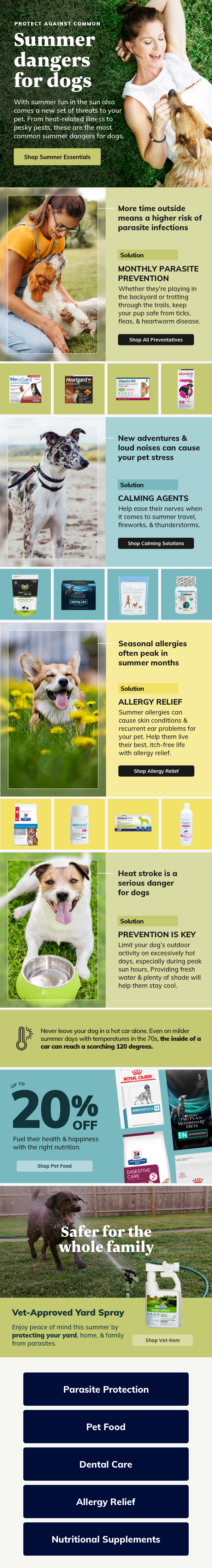 Canine Summer Dangers.png