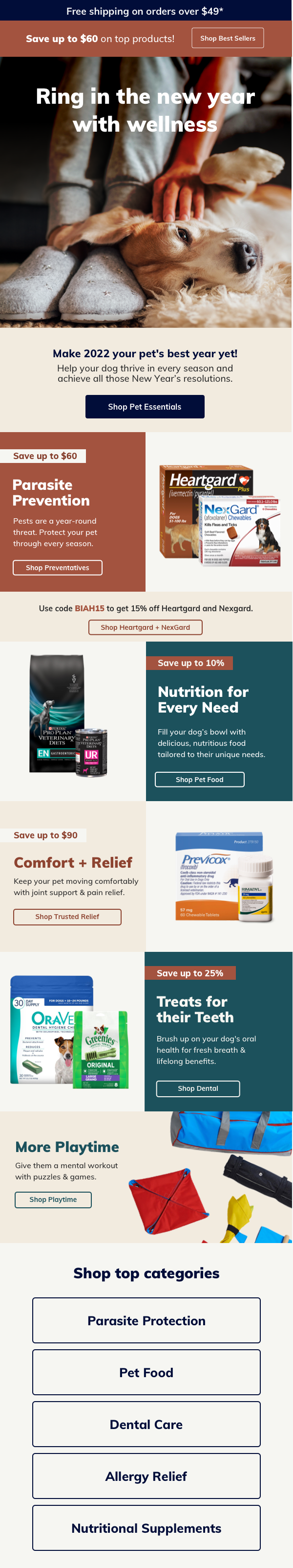 Companion New Year.png