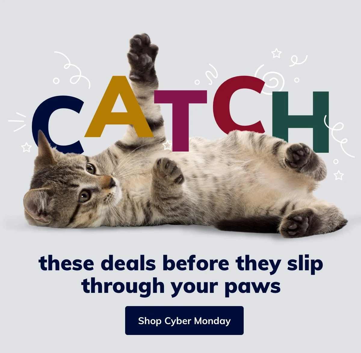 Feline_Hero_Generic (1).jpg