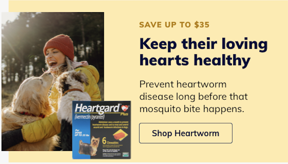 Screen Shot 2024-04-19 at 6.23.51 PM.png