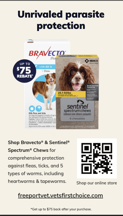 Screen Shot 2024-04-30 at 11.06.01 AM.png