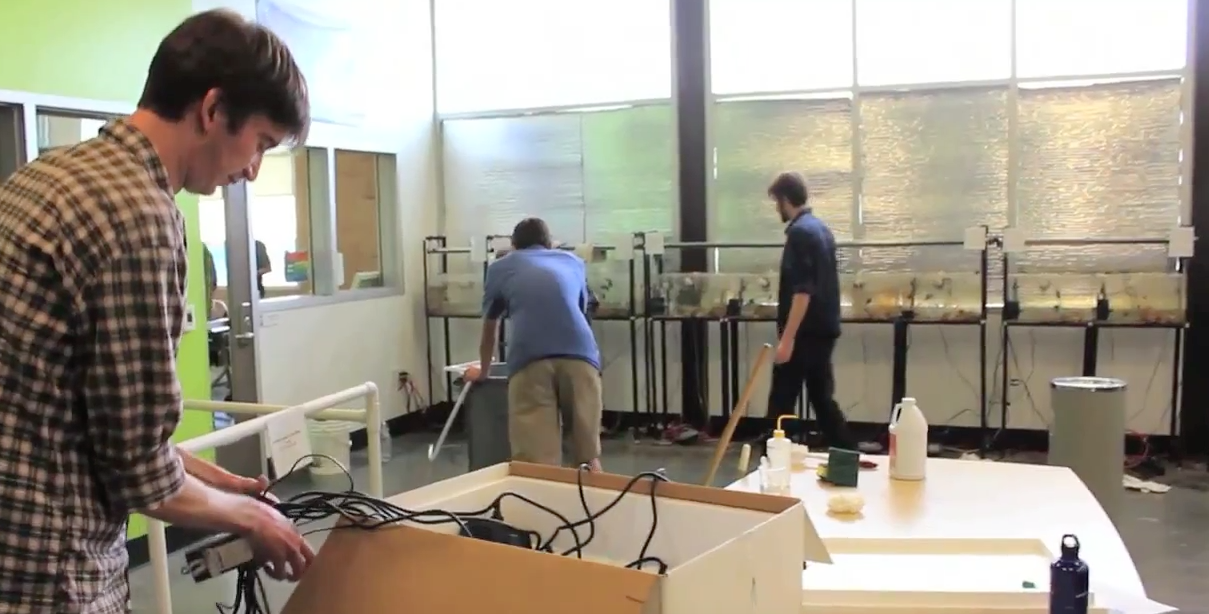 Building saltwater aquarium systems for corals from scratch at High Tech High North County (San Marcos CA).