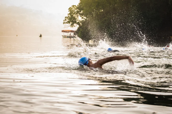 Swimming Sunlight (1 of 1).jpg