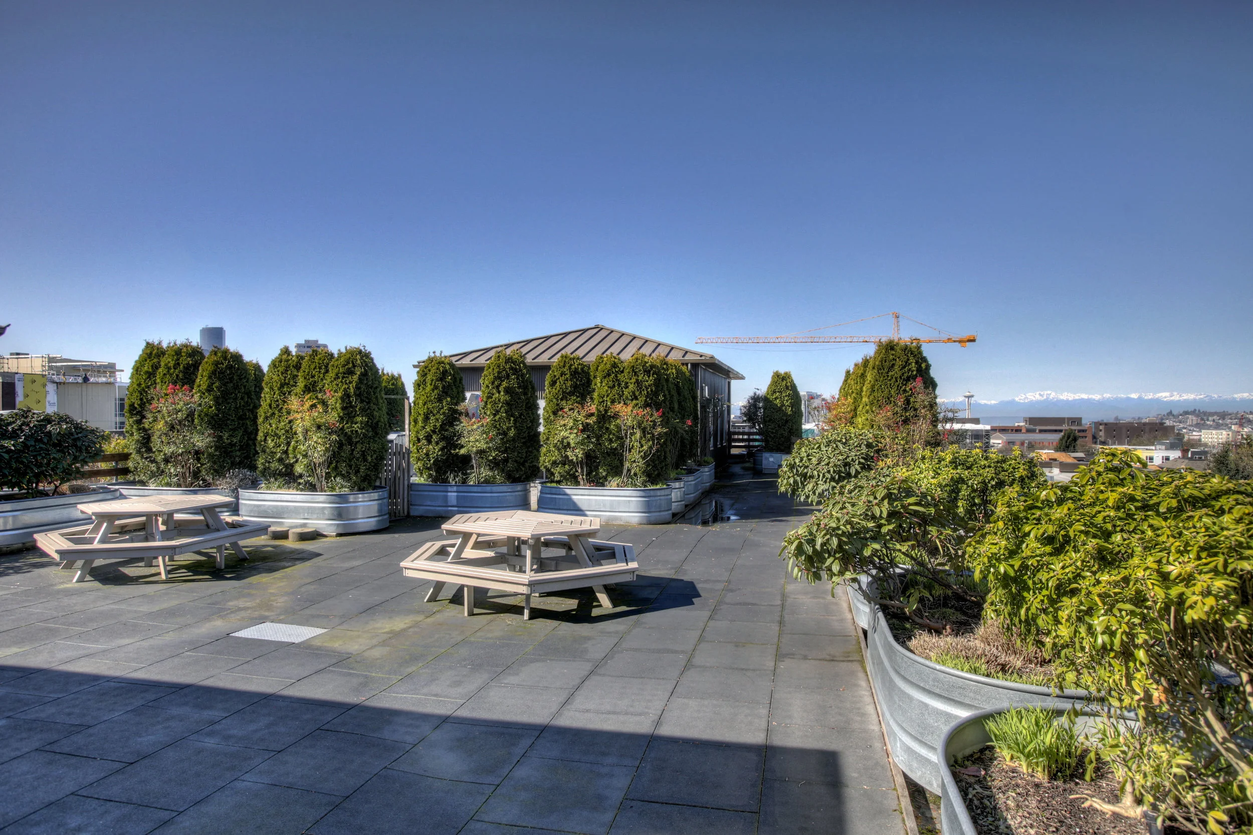 Braeburn Luxury Condos For Sale The Seattle Condo Group