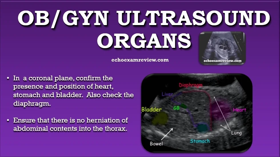 Ob Gyn Ultrasound Pictures
