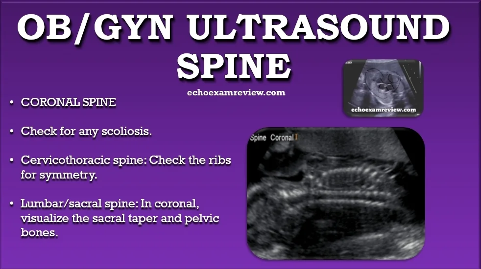 Ob Gyn Ultrasound Pictures