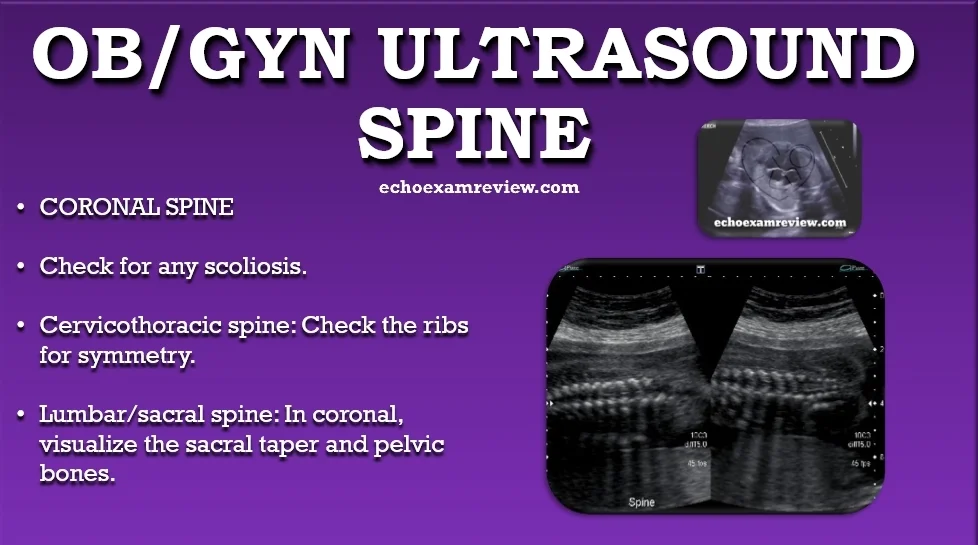 Ob Gyn Ultrasound Pictures