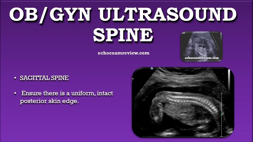 Ob Gyn Ultrasound Pictures