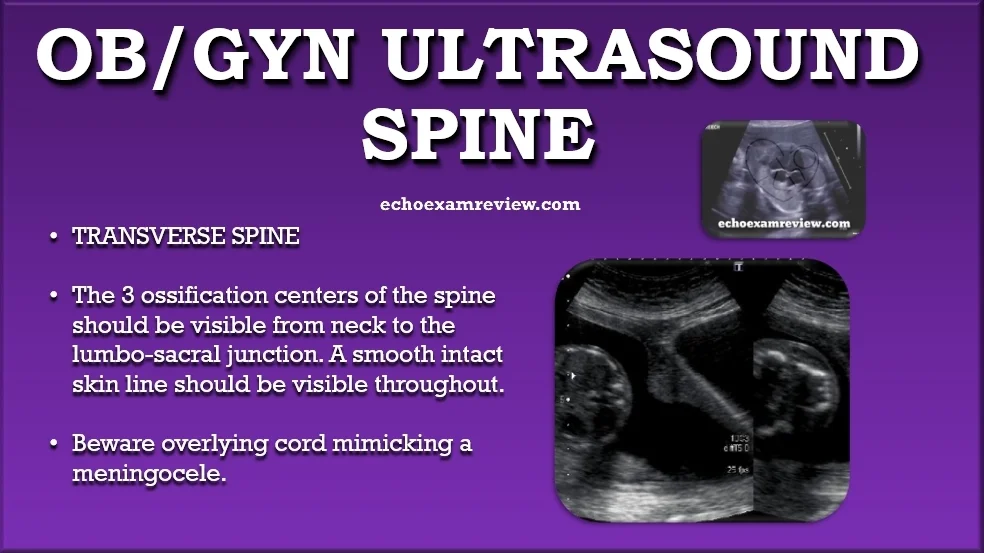 Ob Gyn Pictures